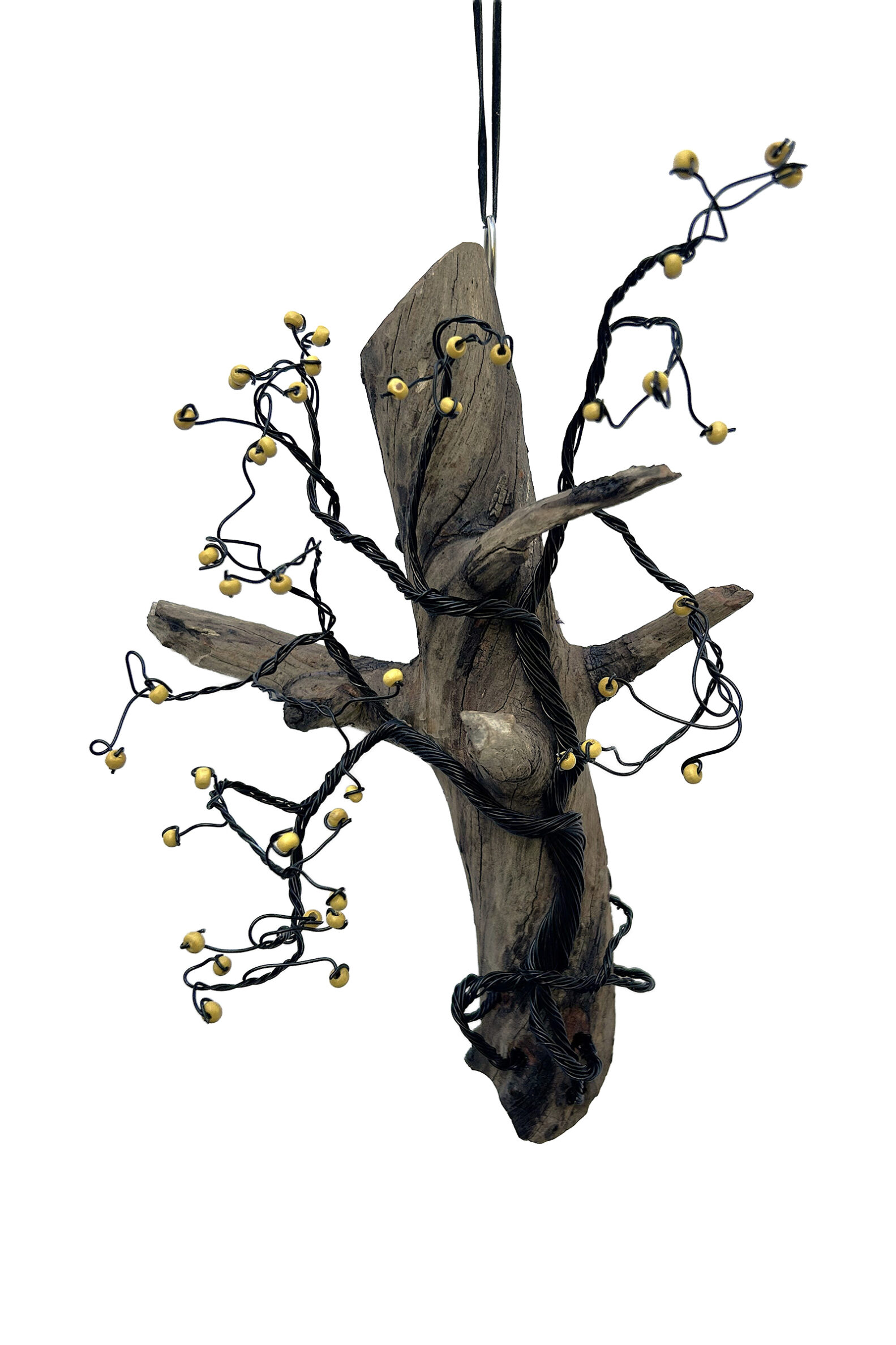 Golden Bloom